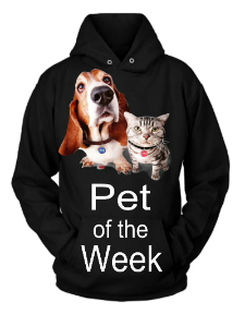 a pet of the week hoodie